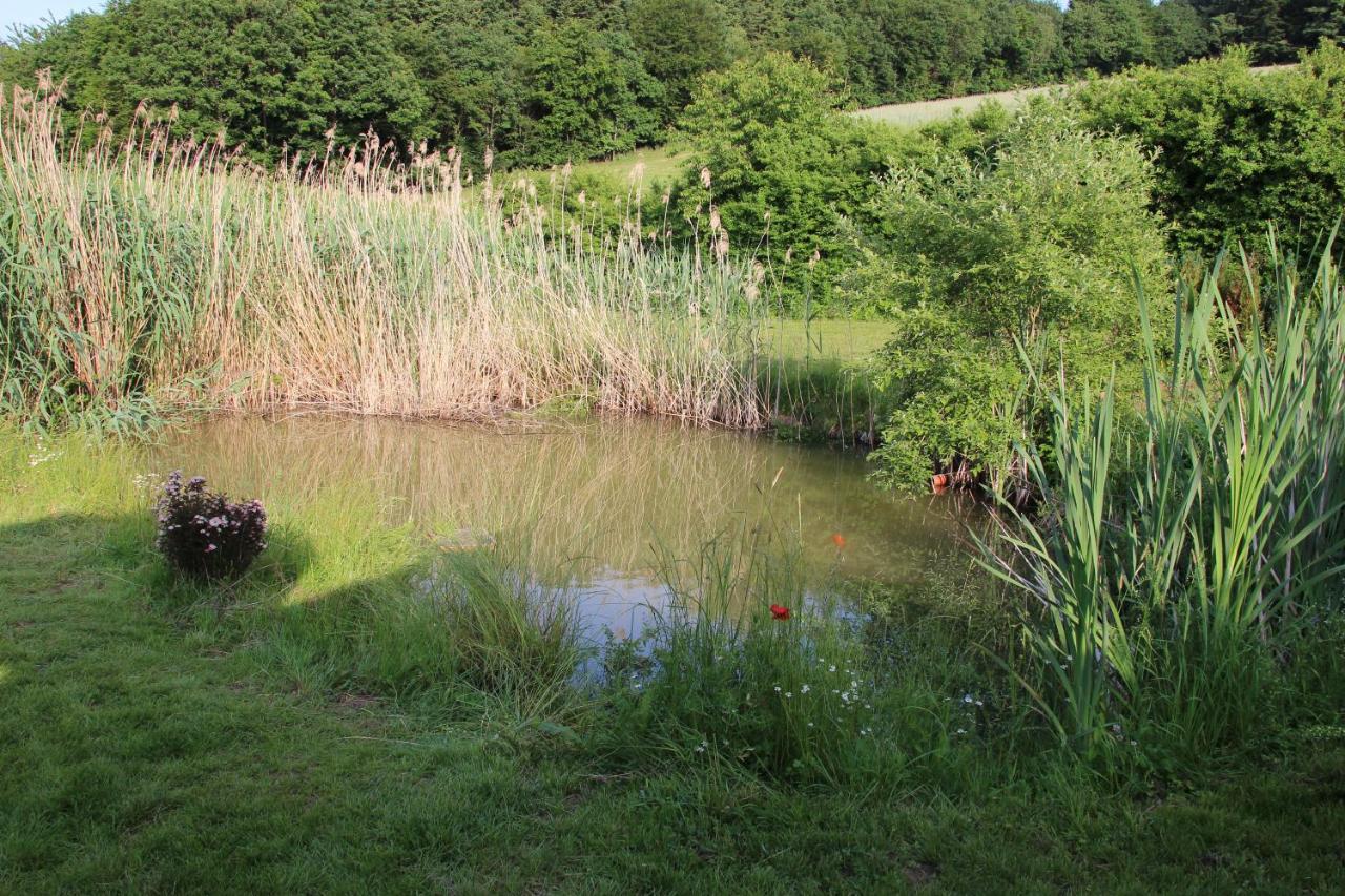 Fewogriebelschied Exteriör bild